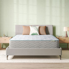 Load image into Gallery viewer, Soothing Nights - 14" Plush Mattress In A Box
