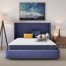 Load image into Gallery viewer, Perfect Day - 8" Serta Medium Mattress in a Box
