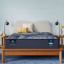 Load image into Gallery viewer, Perfect Sleeper - 12.5" X Aspen Hybrid Firm Mattress

