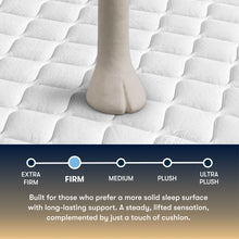 Load image into Gallery viewer, Perfect Sleeper - 13" Cascade Canyon Firm Mattress
