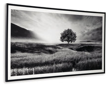 Load image into Gallery viewer, Deborland - Wall Art - Black / White

