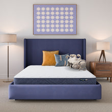 Load image into Gallery viewer, Perfect Day - 7" Serta Firm Mattress in a Box
