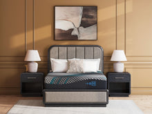Load image into Gallery viewer, Millennium 2.0 Hybrid 14 Inch - Mattress
