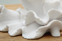 Load image into Gallery viewer, Waynemont - Sculpture - White
