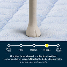 Load image into Gallery viewer, Perfect Day - 16" Plush Pillow Top Mattress in a Box
