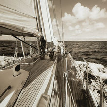 Load image into Gallery viewer, Arlanford - Wall Art - Sepia
