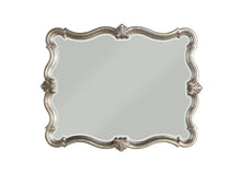 Load image into Gallery viewer, Esteban Mirror
